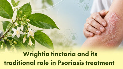 Wrightia Tinctoria and Its Traditional Role in Psoriais Treatment