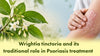 Wrightia Tinctoria and Its Traditional Role in Psoriais Treatment